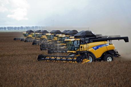 Thái Lan miễn thuế nhập khẩu đậu tương