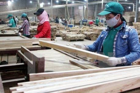 Hỗ trợ ngành công nghiệp gỗ Việt Nam mở rộng thị trường tại EU