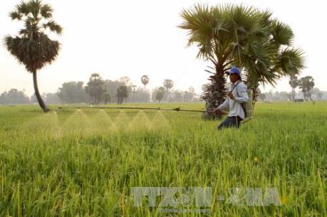 Đẩy mạnh kết nối công – tư trong phát triển nông nghiệp
