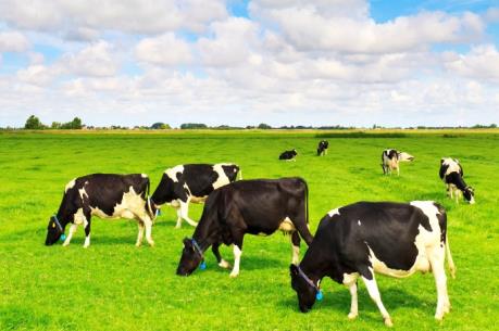  VNM đặt kế hoạch doanh thu 3 tỷ USD vào năm 2017