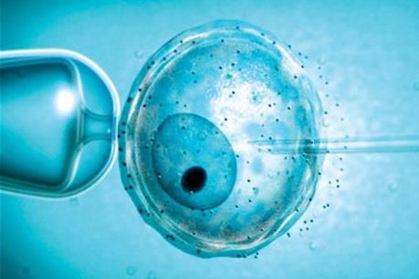 Các nhà khoa học Anh ủng hộ phương pháp thụ tinh cho ra đời các em bé từ một cha và hai mẹ
