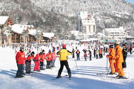 Săn tour du lịch giá rẻ Tết Đinh Dậu 2017 ở đâu?