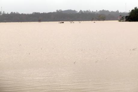 Bình Định: Một nạn nhân bị lũ cuốn tử vong