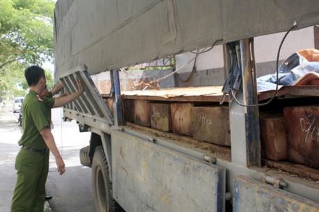Đắk Nông: Tạm giữ xe container chở hơn 17m3 gỗ căm xe 