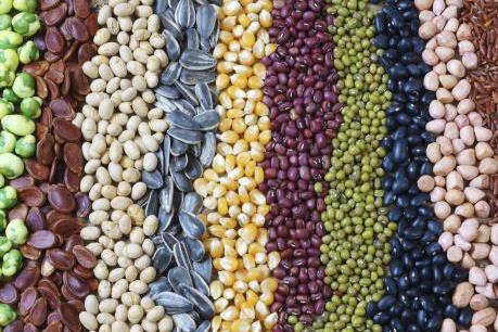 Điểm lại thị trường nông sản Mỹ tuần qua