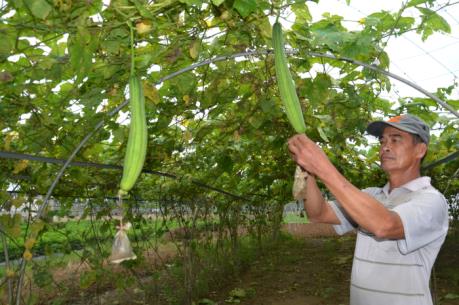 "Lực đẩy" từ các hợp tác xã kiểu mới trên vùng đất mỏ