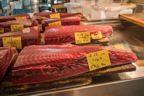 Xuất khẩu cá ngừ của Việt Nam sang EU tăng mạnh