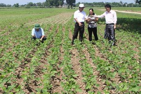 Sẽ thu hồi giấy phép tiếp cận nếu sử dụng nguồn gen gây hại trong công nghệ sinh học