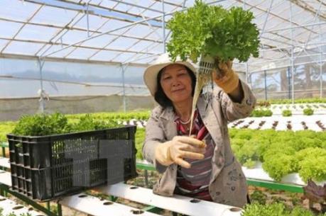 Hướng đi hiệu quả cho nông dân Thái Nguyên