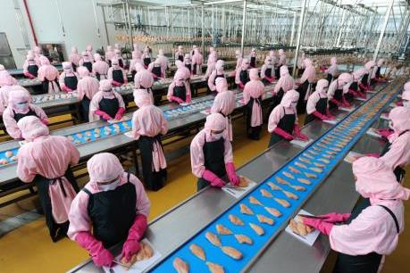 Thêm một nhà máy chế biến thực phẩm phục vụ Tết Đinh Dậu