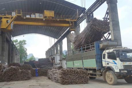Gỡ nút thắt để mía đường hội nhập