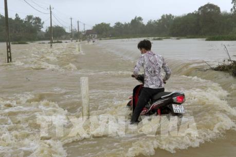 Lũ đặc biệt lớn trên các sông ở Quảng Nam, Quảng Ngãi, Bình Định