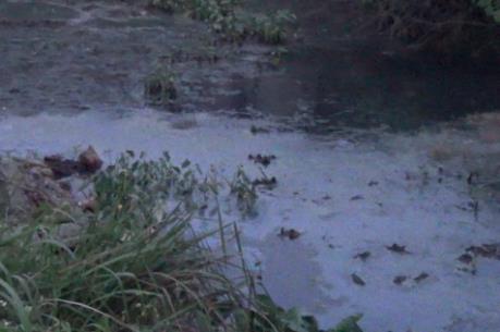 Hưng Yên: Chi nhánh Vinatex bị phạt hơn 550 triệu đồng