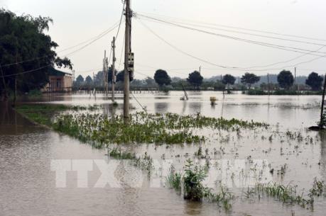 Dự báo thời tiết 13/12: Áp thấp nhiệt đới suy yếu, Nam Trung Bộ mưa lớn diện rộng