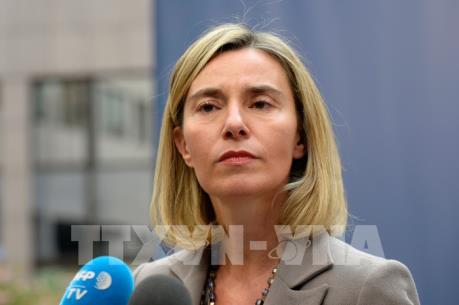 EU không có ý định trừng phạt Nga liên quan đến cuộc xung đột Syria