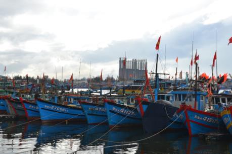 Xử lý ô nhiễm tại khu vực âu thuyền và cảng cá Thọ Quang