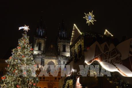 Thuê cây thông Giáng sinh – xu hướng mới của người Séc