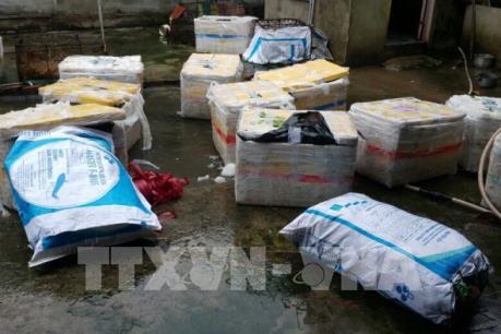 Bình Dương phát hiện 600kg lợn sữa bốc mùi hôi thối không giấy kiểm dịch