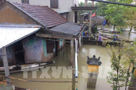 Thừa Thiên-Huế đề nghị Chính phủ hỗ trợ 1.000 tấn gạo và cây giống