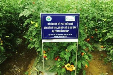 VinEco hỗ trợ tối đa 300 triệu đồng/hộ nhằm thúc đẩy sản xuất nông nghiệp