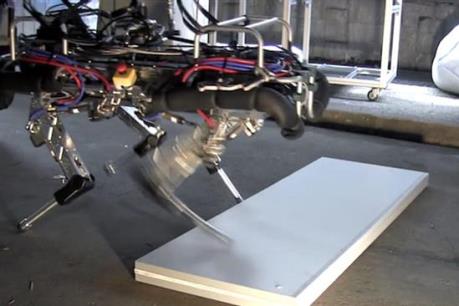 Italy phát triển loại robot bốn chân cho các vùng bị thảm họa