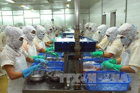 Giải pháp hỗ trợ người lao động Việt Nam ra nước ngoài làm việc