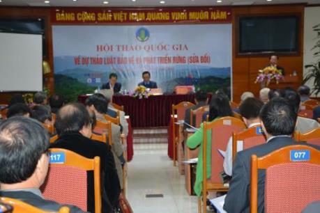 Nhiều góp ý với dự thảo Luật Bảo vệ và Phát triển rừng sửa đổi