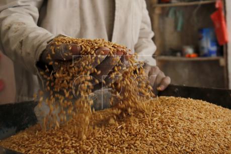 Điểm lại thị trường nông sản Mỹ tuần qua