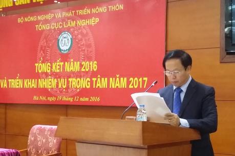 Năm 2017 sẽ tăng độ che phủ rừng lên 41,25%