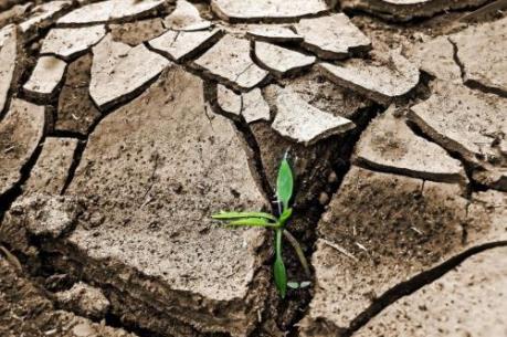 Kinh tế châu Phi sẽ thiệt hại nặng nhất do biến đổi khí hậu