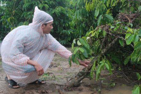 Đắk Lắk: Nhiều địa phương bị thiệt hại nặng do mưa lớn kéo dài