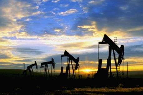 Saudi Arabia: Xuất khẩu dầu thô giảm trong tháng 10/2016