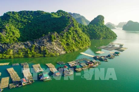 Điều chỉnh quy hoạch cảng cá khu vực đảo Cát Bà