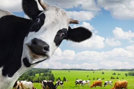 Tỷ phú Thái chi hơn 11 nghìn tỷ gom cổ phiếu công ty sữa lớn nhất Việt Nam