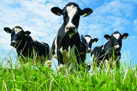 VNM: Đã mua 24.560 cổ phiếu quỹ