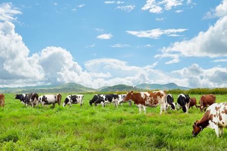 Vinamilk tiếp tục trong top 10 Doanh Nghiệp niêm yết uy tín tại Việt Nam