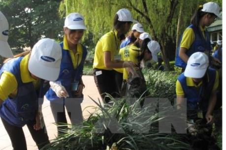 Hà Nội đảm bảo vệ sinh môi trường dịp năm mới 2017