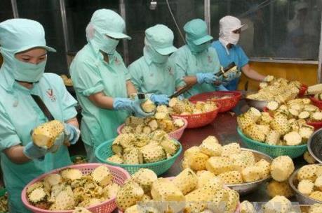 Hạn ngạch thuế quan nhập khẩu nông sản vào Đài Loan (Trung Quốc) năm 2017