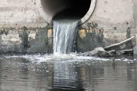 Bà Rịa-Vũng Tàu bắt quả tang Công ty TNHH MTV Pak Việt Nam xả thải ra môi trường