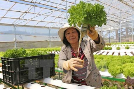 Phí thẩm định kinh doanh có điều kiện lĩnh vực nông nghiệp