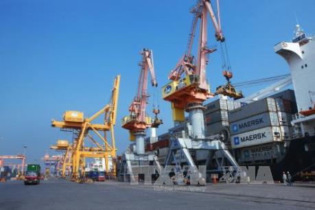 Tổng cục Thống kê: Năm 2016, thành công trong kiểm soát lạm phát