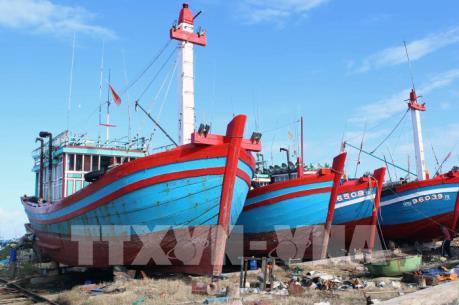 Luật Thủy sản (sửa đổi): Đã luật hóa những cam kết của Việt Nam về IUU