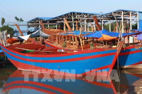 Phó Thủ tướng Trịnh Đình Dũng chỉ đạo gỡ vướng trong triển khai Nghị định 67