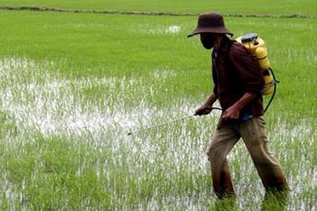 Công bố kết quả sơ bộ tổng điều tra nông thôn, nông nghiệp và thủy sản năm 2016