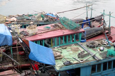 Xử lý vi phạm trong khai thác thủy sản trên vịnh Hạ Long