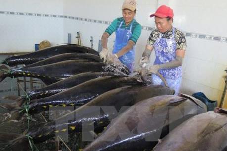 VASEP kiến nghị giảm thuế nhập khẩu cá ngừ Việt Nam vào Nhật Bản