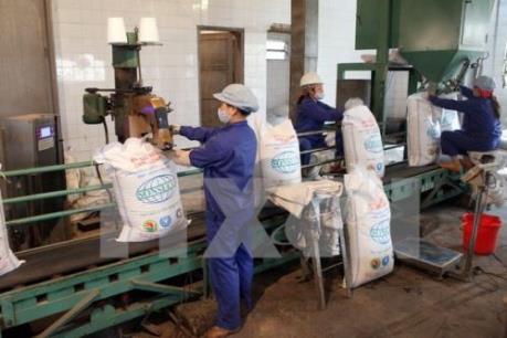 Ngành mía đường Việt Nam “đau đầu” với đường nhập lậu