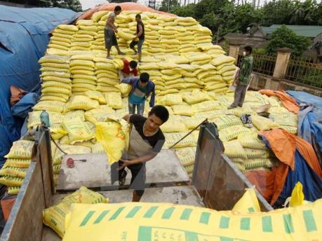 Cung ứng 3.713 nghìn tấn phân bón các loại trong 12 tháng