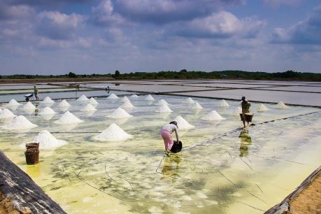 Tp.Hồ Chí Minh giải quyết xong bài toán tồn kho muối