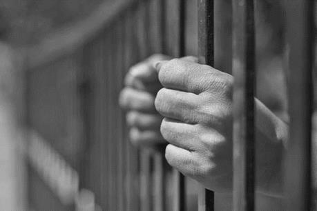 Phạt tù nguyên Giám đốc Công ty vận tải Biển Đông